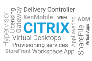 Citrix in the middle